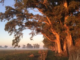 Monasterio Aereas y paisajes