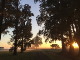 Monasterio Aereas y paisajes