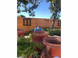 Cenáculo Chihuahua - México. Ejercicios espirituales on line